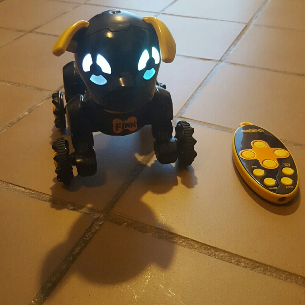 Robot Dog with Remote